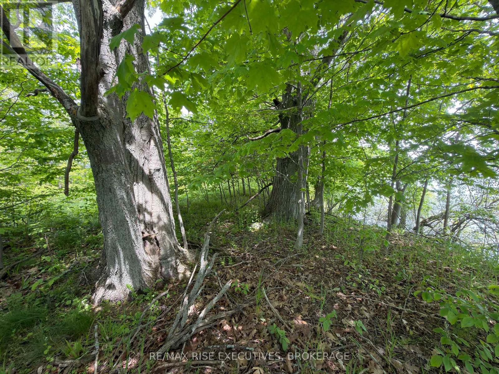 Pt Lt 5 Wyona Lane, Frontenac Islands, Ontario  K0H 2Y0 - Photo 4 - X13120796