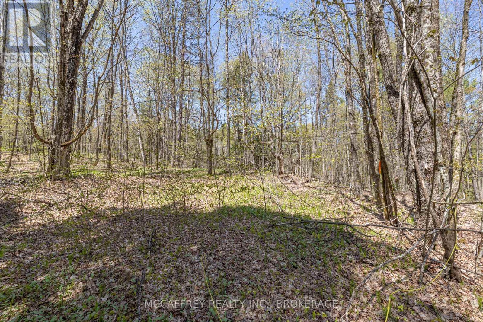 1088 Kashwakamak Lake Road, Frontenac, Ontario  K0H 1B0 - Photo 19 - X13416022