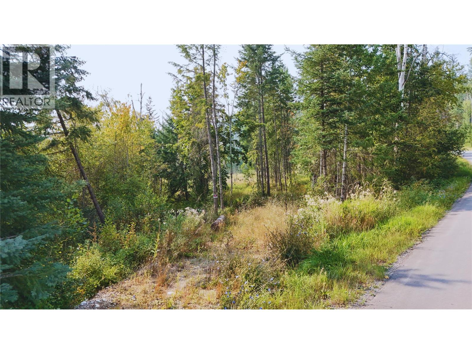 Lot 169a Puckett Road, Cherryville, British Columbia  V0E 2G3 - Photo 8 - 10361088