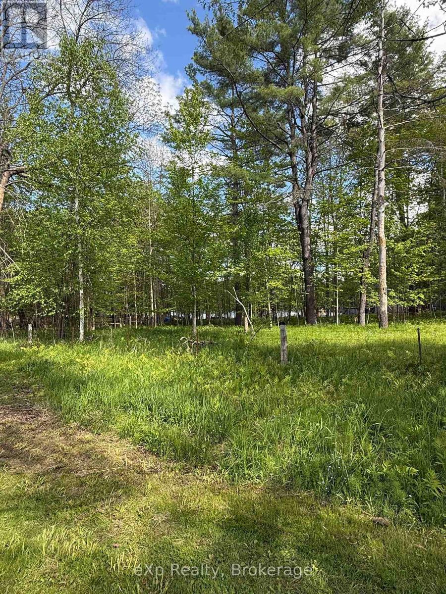 50 Joseph Street, Muskoka Lakes, Ontario  P0B 1J0 - Photo 7 - X13416040