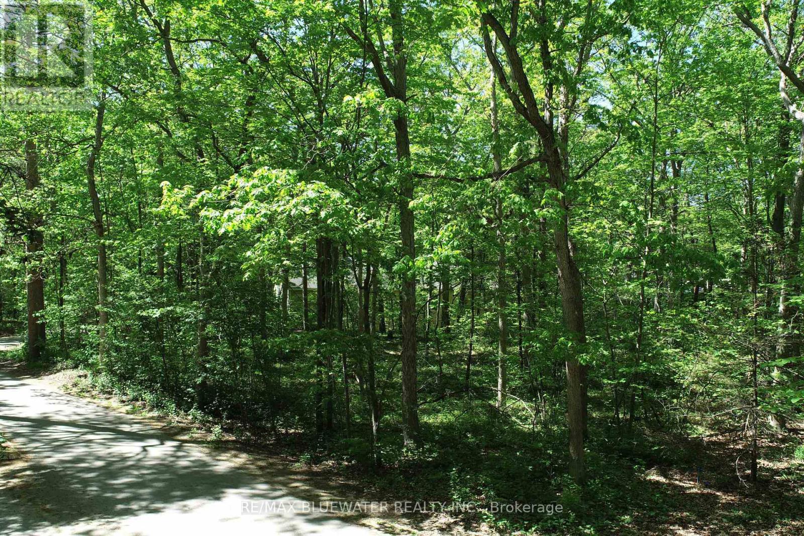 10296 Grand Oaks Drive, Lambton Shores, Ontario  N0M 1T0 - Photo 10 - X12996956