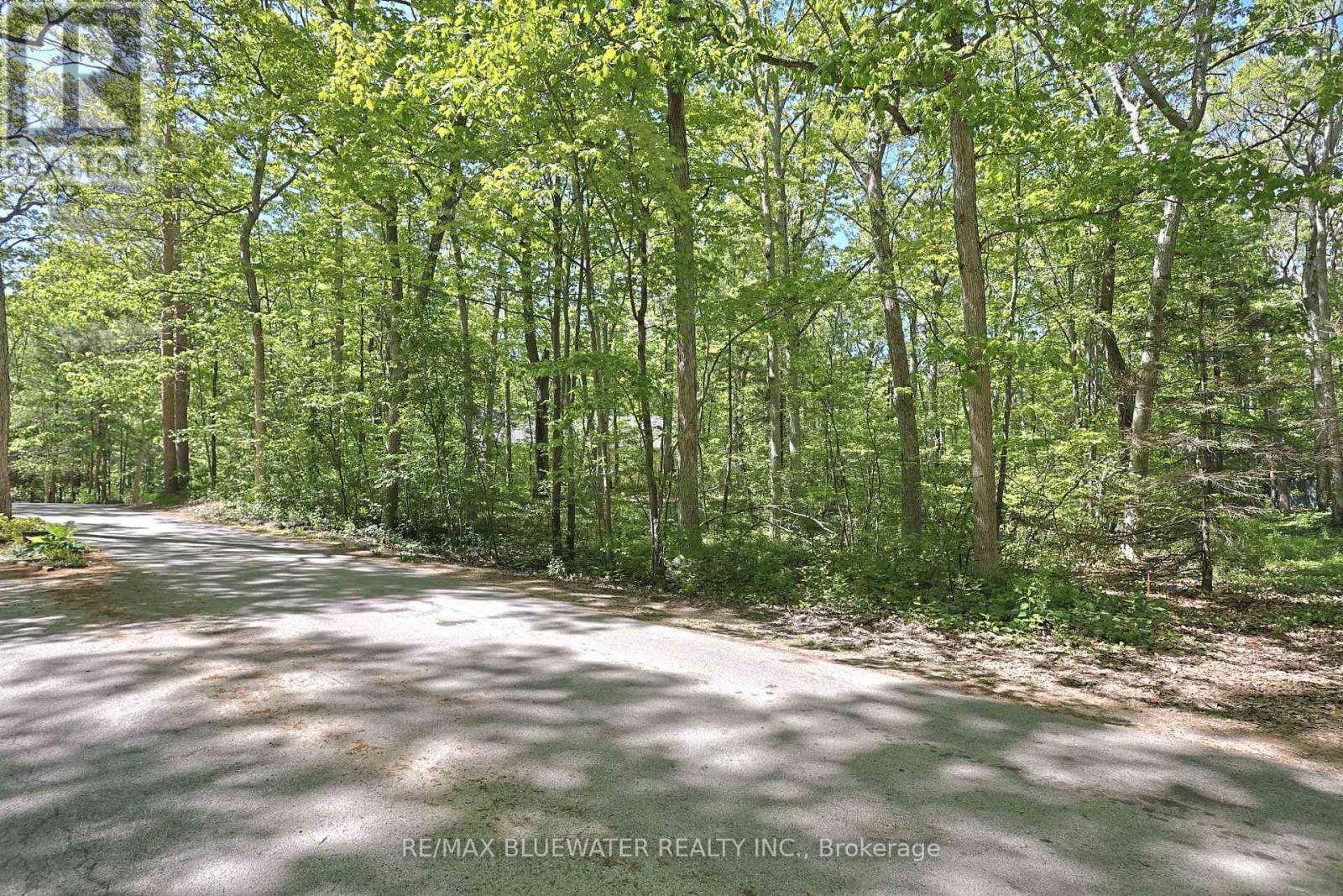 10296 Grand Oaks Drive, Lambton Shores, Ontario  N0M 1T0 - Photo 4 - X12996956