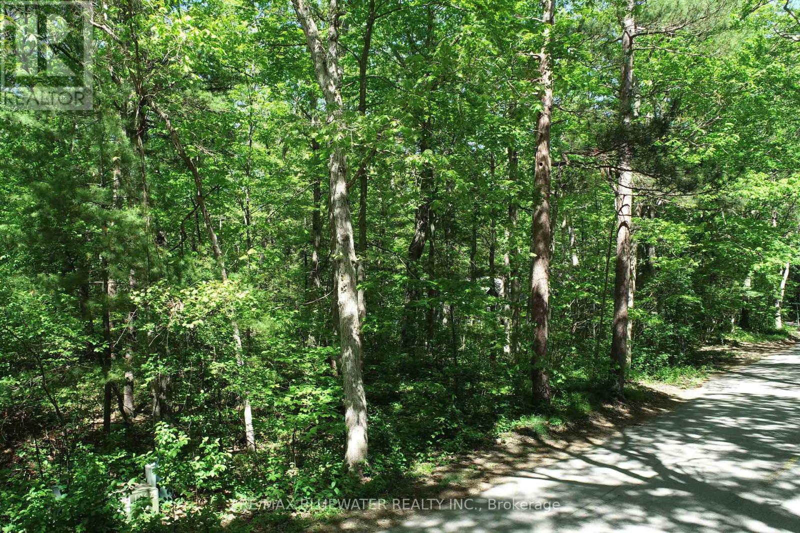 10296 Grand Oaks Drive, Lambton Shores, Ontario  N0M 1T0 - Photo 11 - X12996956