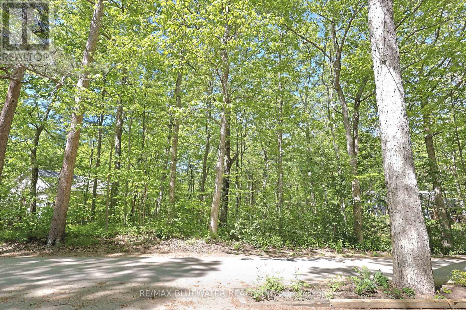 10296 Grand Oaks Drive, Lambton Shores, Ontario  N0M 1T0 - Photo 6 - X12996956