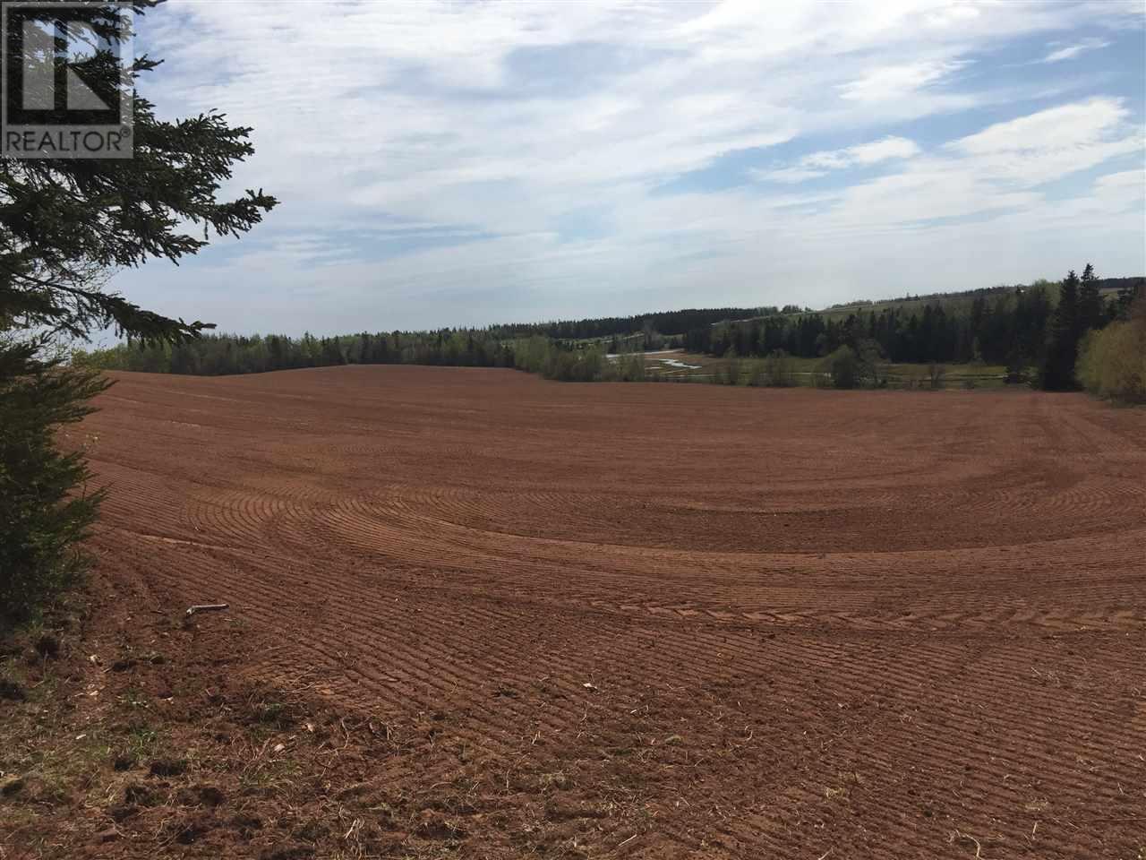 Acreage South Melville Road, Rte 246, Desable, Prince Edward Island  C0A 1J0 - Photo 17 - 202613570