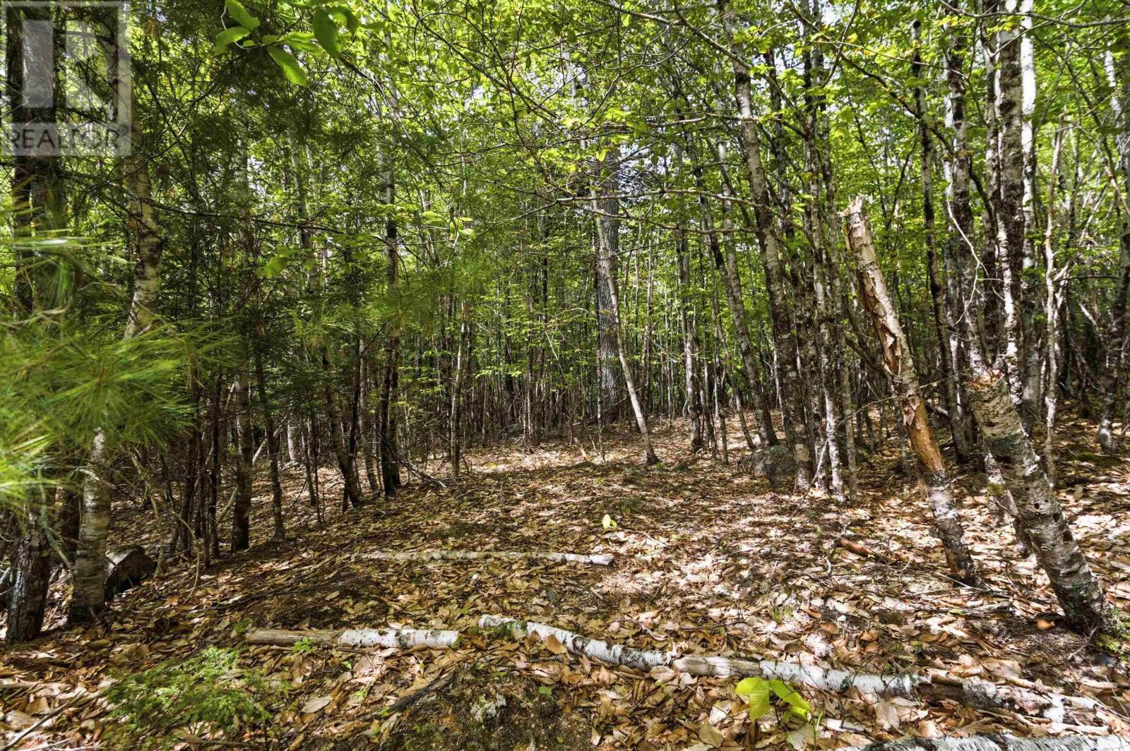 Lot 30 Maplesue Point Drive, Molega, Nova Scotia  B0T 1X0 - Photo 20 - 202613675