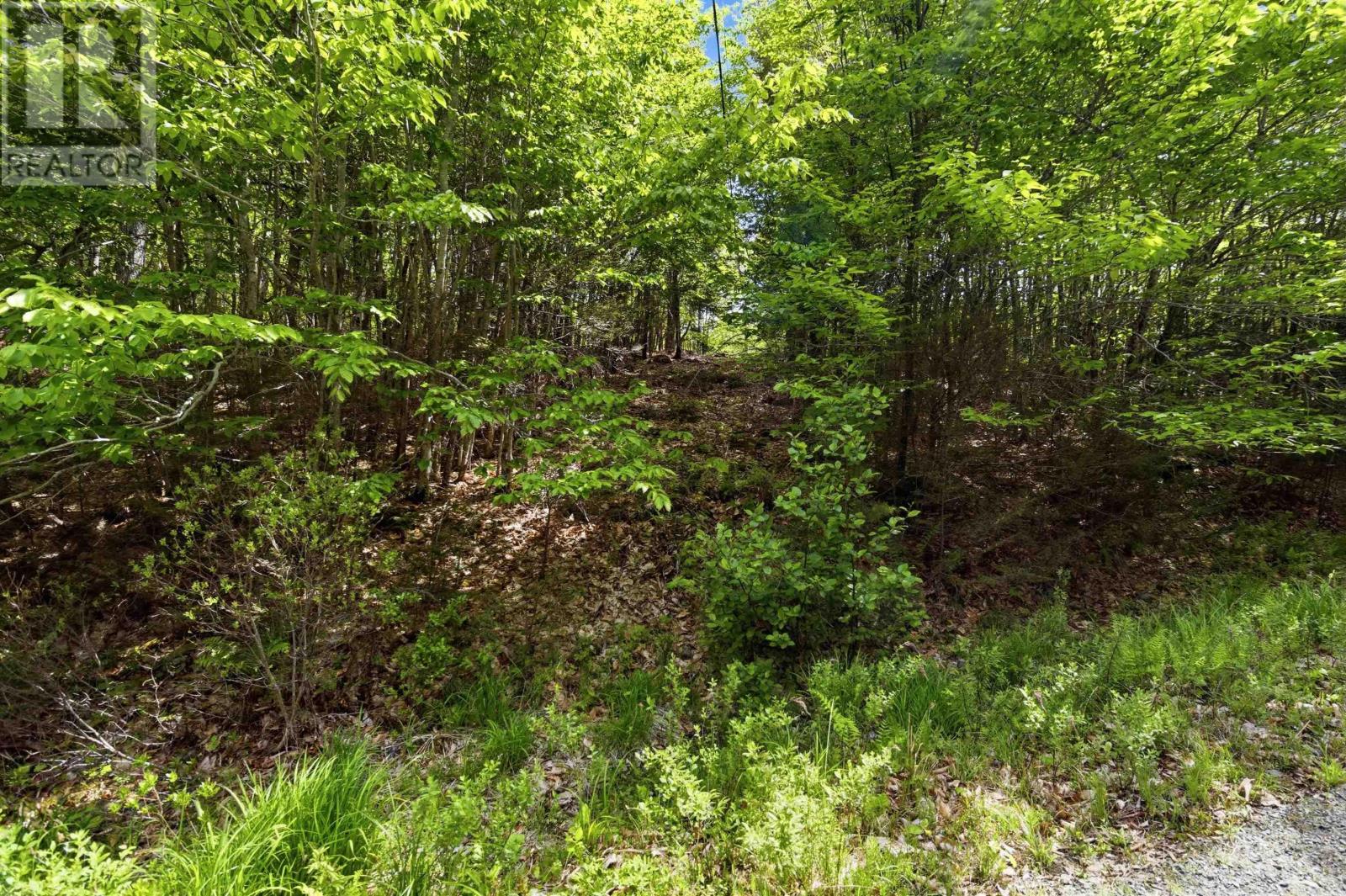 Lot 30 Maplesue Point Drive, Molega, Nova Scotia  B0T 1X0 - Photo 8 - 202613675