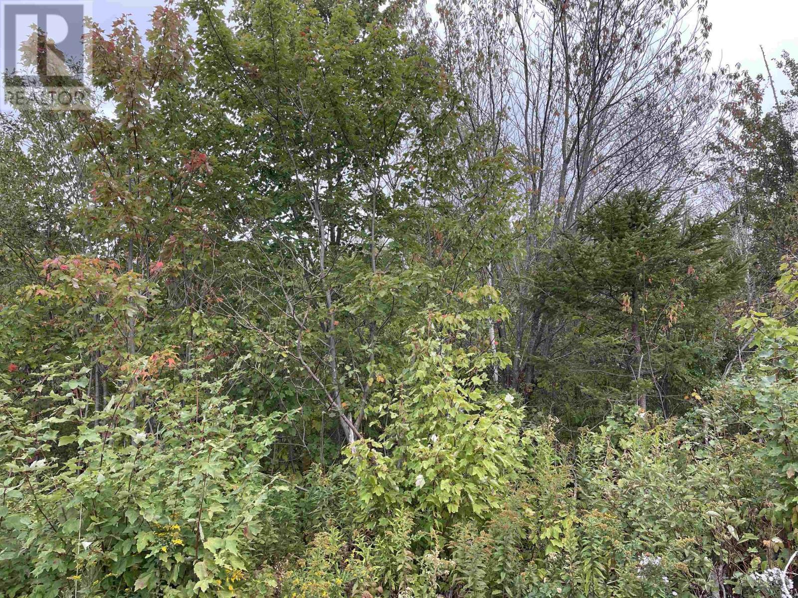 Lot Country Lane, Victoria West, Prince Edward Island  C0B 2C0 - Photo 10 - 202524076