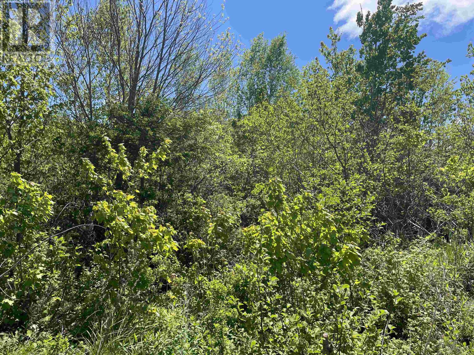 Lot Country Lane, Victoria West, Prince Edward Island  C0B 2C0 - Photo 3 - 202524076