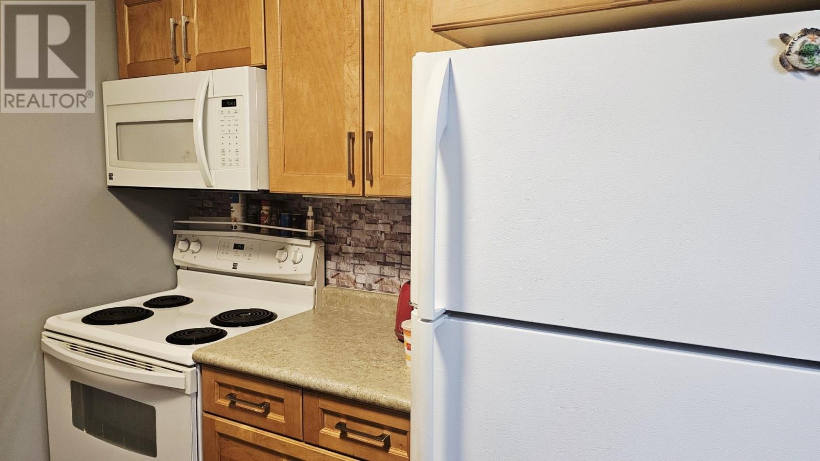 210 725 James St S, Thunder Aby, Ontario  P7E 6N3 - Photo 11 - TB2601409