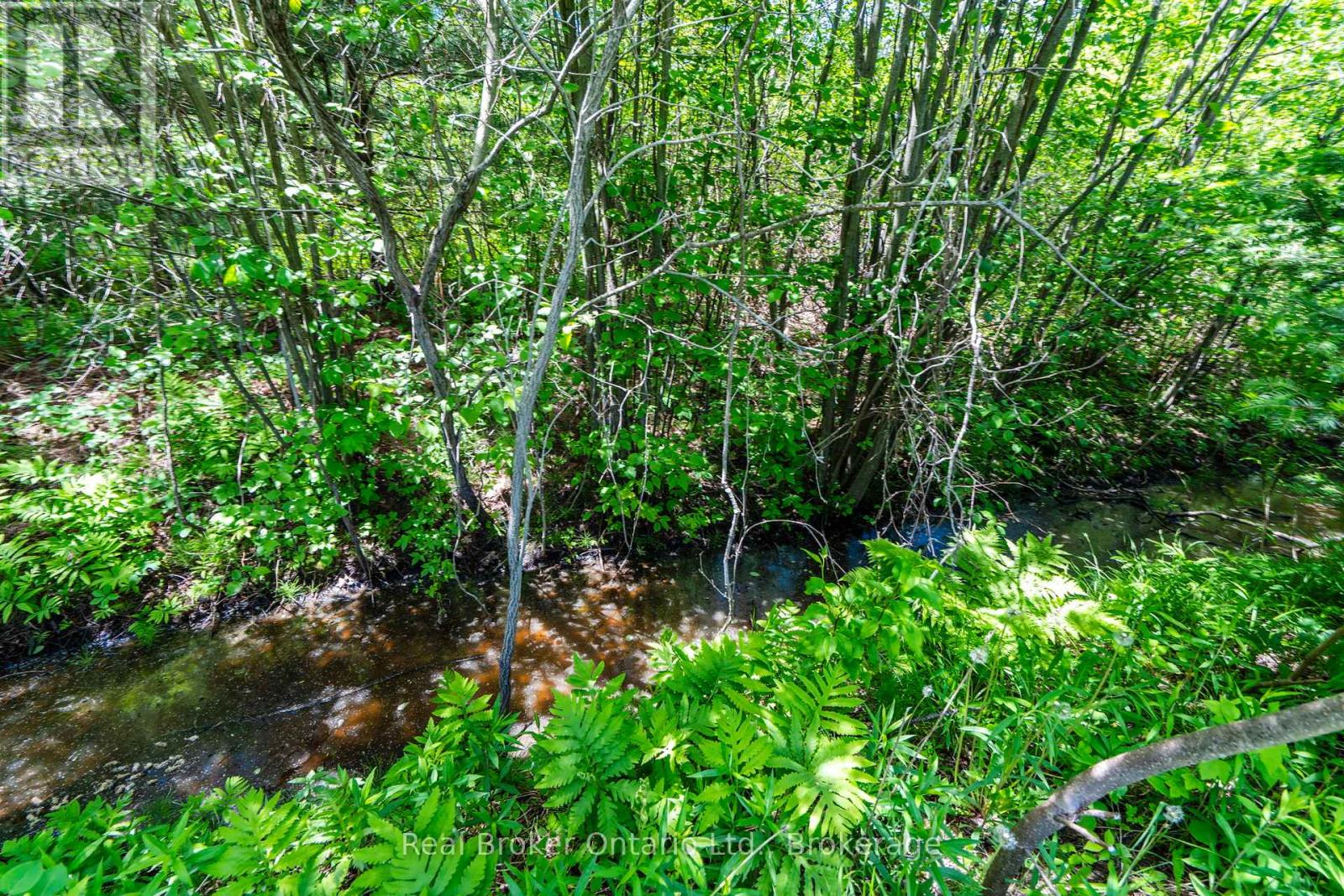 6988 Con Rd 4 Road, Adjala-Tosorontio, Ontario  L0M 1M0 - Photo 24 - N13416580