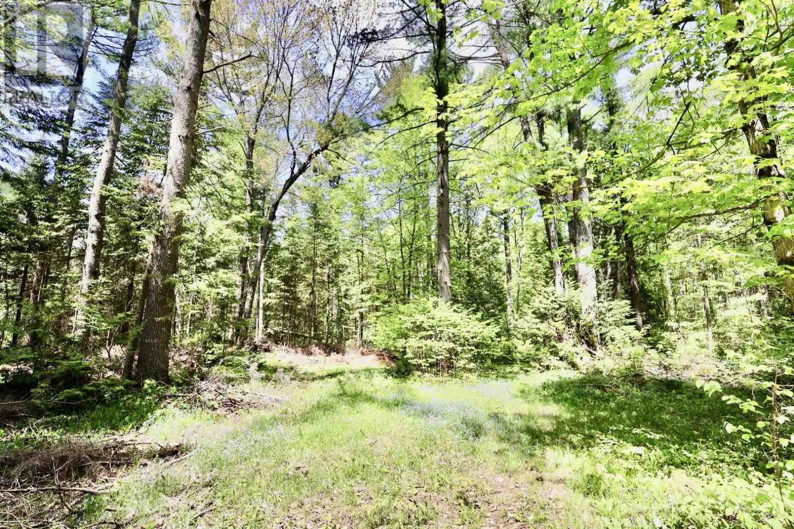 710 Highway 552 W, Goulais River, Ontario  P0S 1E0 - Photo 39 - SM261362