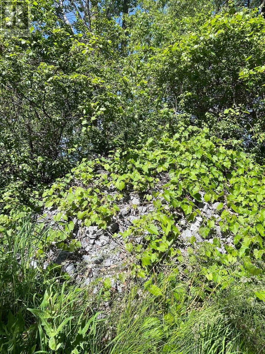 00 10th Line Road, Frontenac Islands, Ontario  K0H 2Y0 - Photo 13 - X13411898