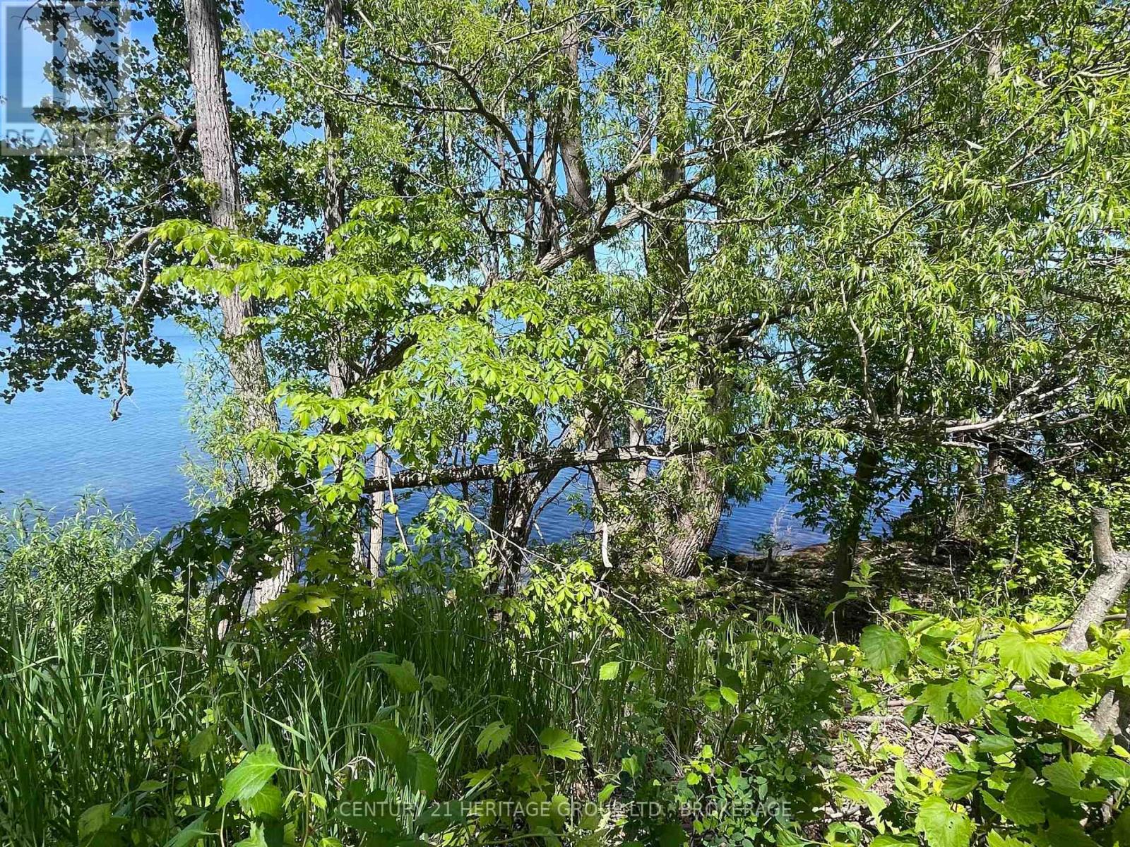 00 10th Line Road, Frontenac Islands, Ontario  K0H 2Y0 - Photo 10 - X13411898