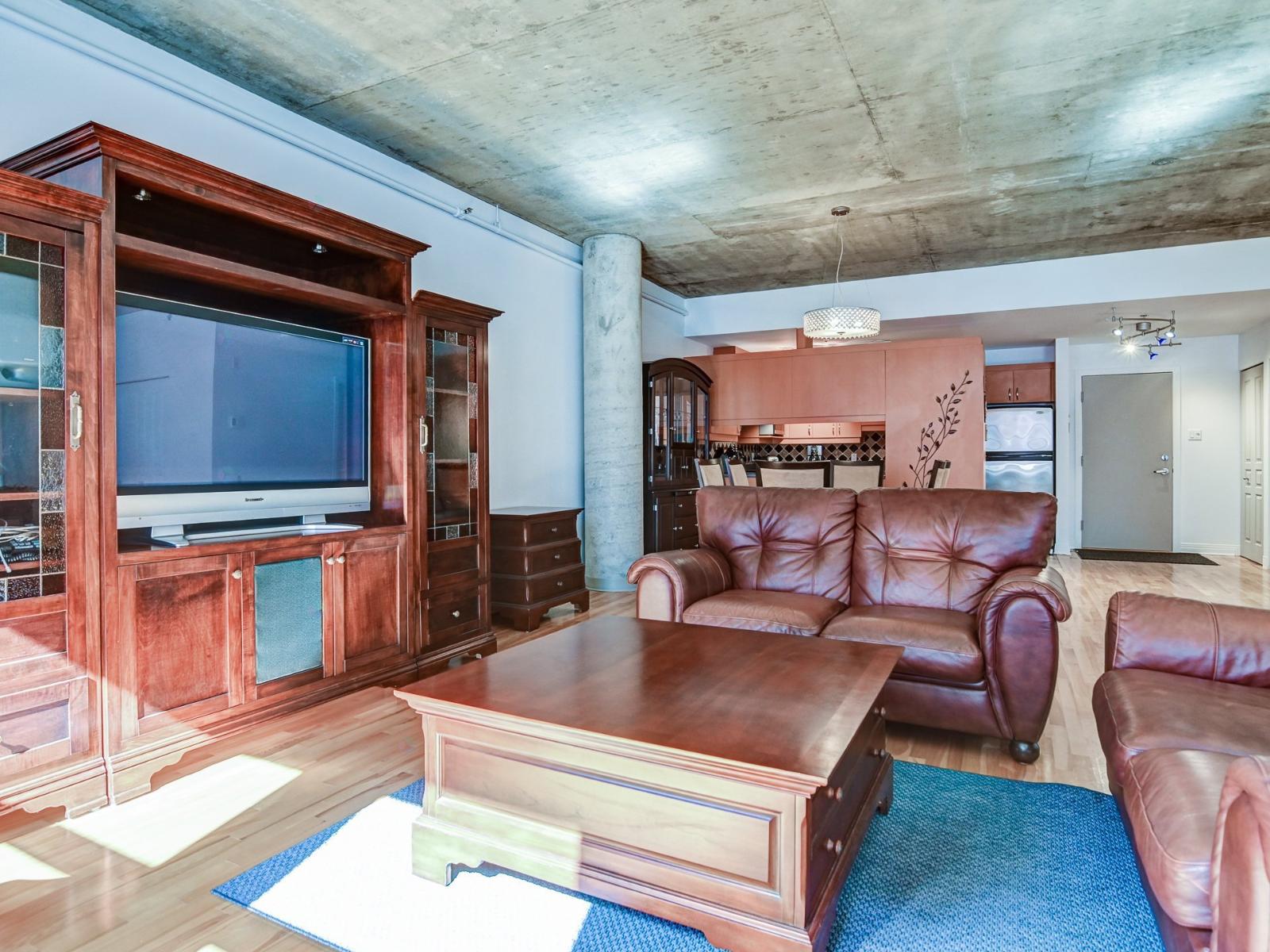 301 Rue Émery|#308 Montréal (Ville-Marie) Quebec Canada H2X1Y2 4