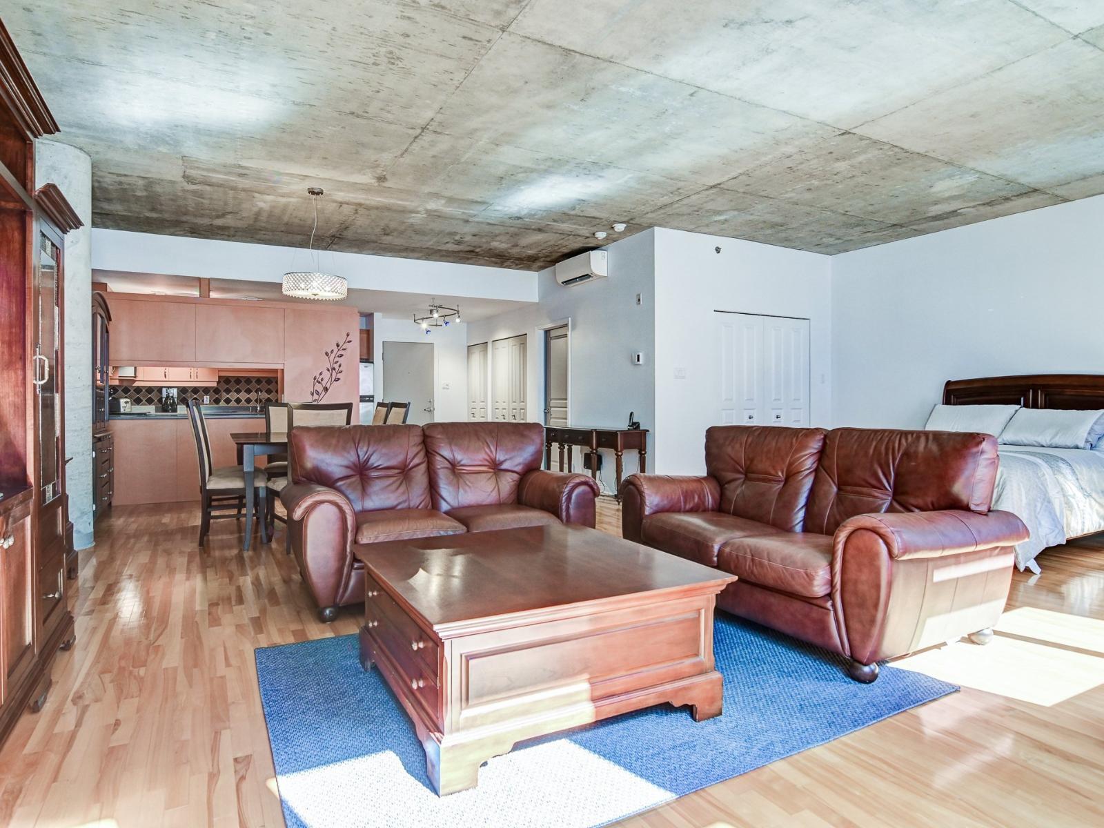 301 Rue Émery|#308 Montréal (Ville-Marie) Quebec Canada H2X1Y2 3