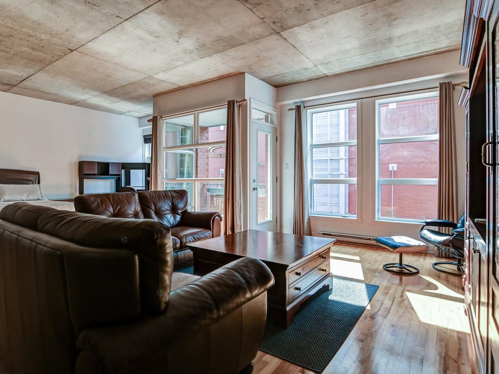 301 Rue Émery|#308 Montréal (Ville-Marie) Quebec Canada H2X1Y2 5