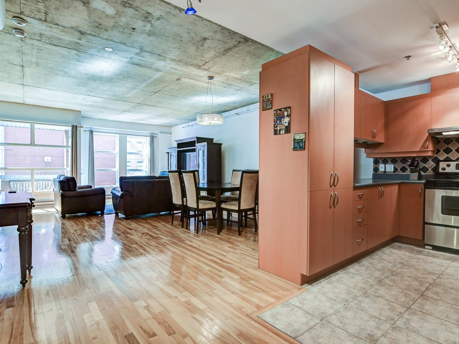 301 Rue Émery|#308 Montréal (Ville-Marie) Quebec Canada H2X1Y2 2