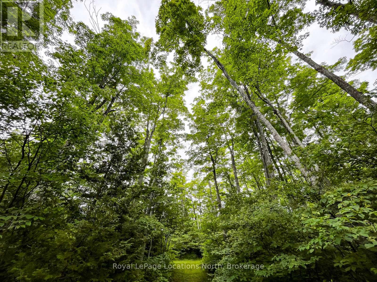 545413 4a Side Road N, Grey Highlands, Ontario  N0C 1H0 - Photo 19 - X13416868