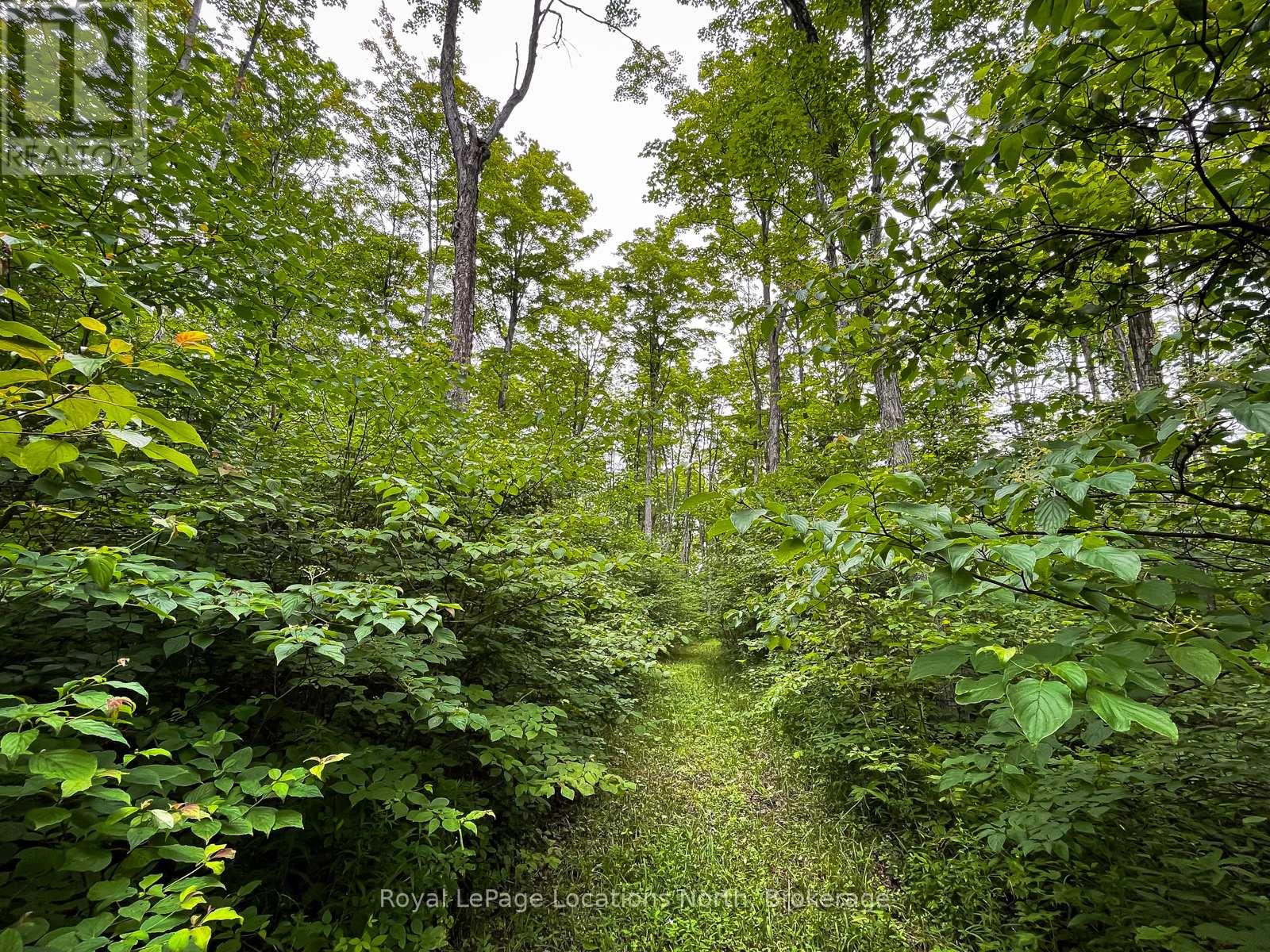 545413 4a Side Road N, Grey Highlands, Ontario  N0C 1H0 - Photo 20 - X13416868
