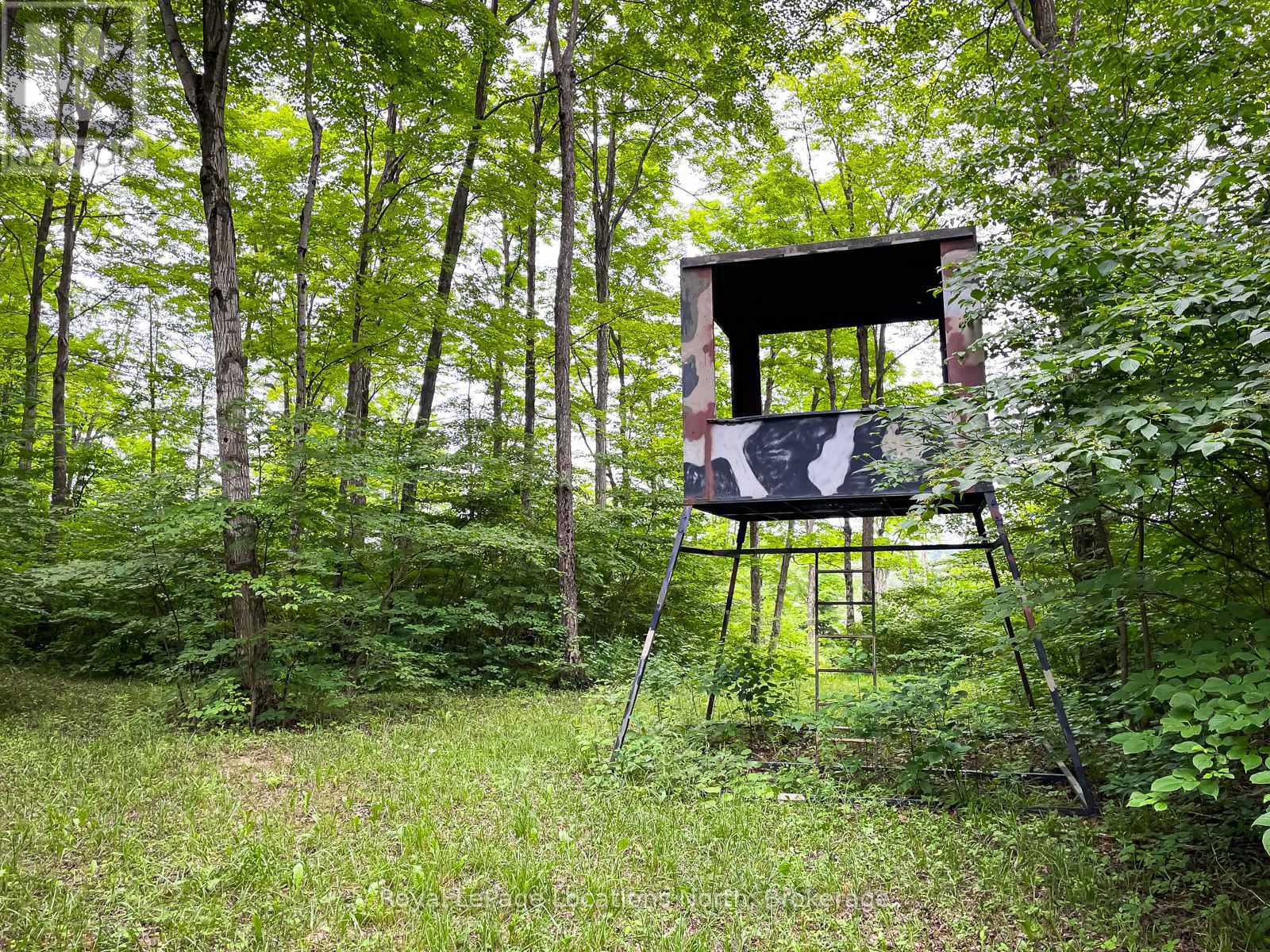 545413 4a Side Road N, Grey Highlands, Ontario  N0C 1H0 - Photo 21 - X13416868