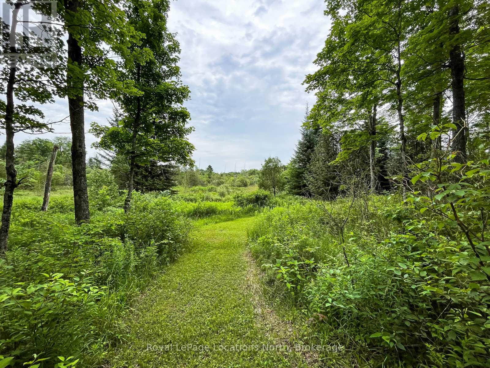545413 4a Side Road N, Grey Highlands, Ontario  N0C 1H0 - Photo 22 - X13416868