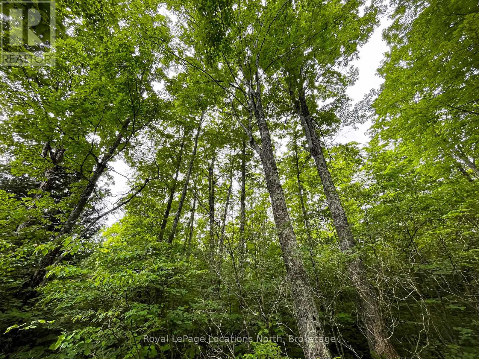 545413 4a Side Road N, Grey Highlands, Ontario  N0C 1H0 - Photo 23 - X13416868