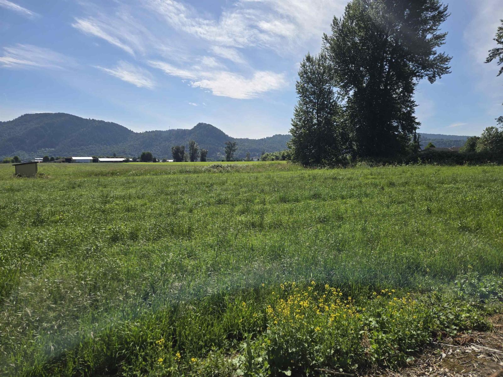 34561 Fore Road, Abbotsford, British Columbia  V3G 1R6 - Photo 21 - R3131722