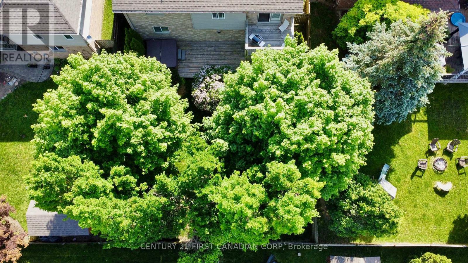 4 Oakwood Court, St. Marys, Ontario  N4X 1B3 - Photo 49 - X13417032