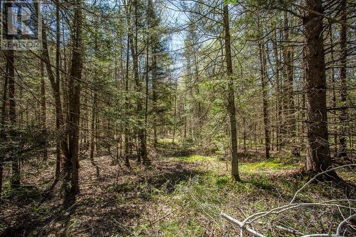 161 Concession Road 5, Bruce Mines, Ontario  P0R 1C0 - Photo 19 - SM261209