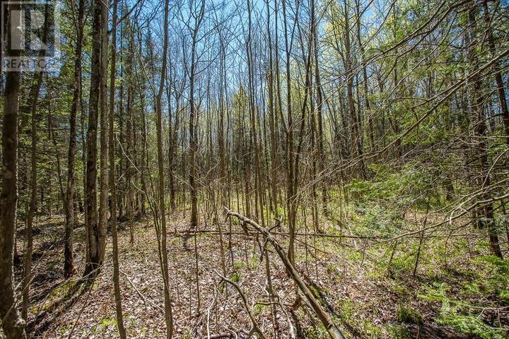 161 Concession Road 5, Bruce Mines, Ontario  P0R 1C0 - Photo 22 - SM261209