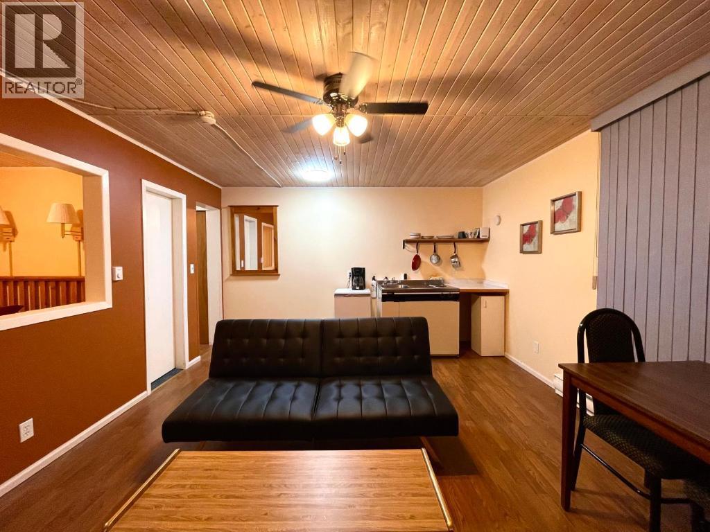 509 Slocan Avenue, New Denver, British Columbia V0G 1S0 - Photo 16 - 10390226