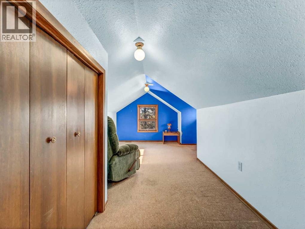 22222 Range Road 20, Bindloss, Alberta  T0J 0H0 - Photo 34 - A2285942