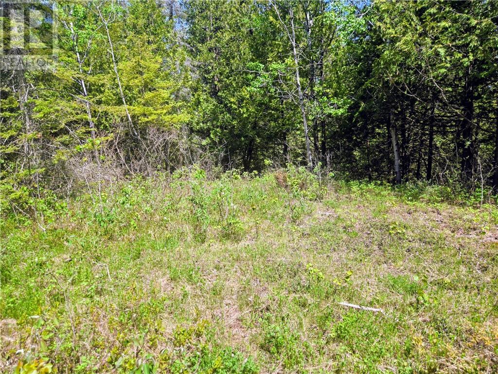 248 Whitetail Dr, Barrie Island, Ontario  P0P 1H0 - Photo 10 - 2128256