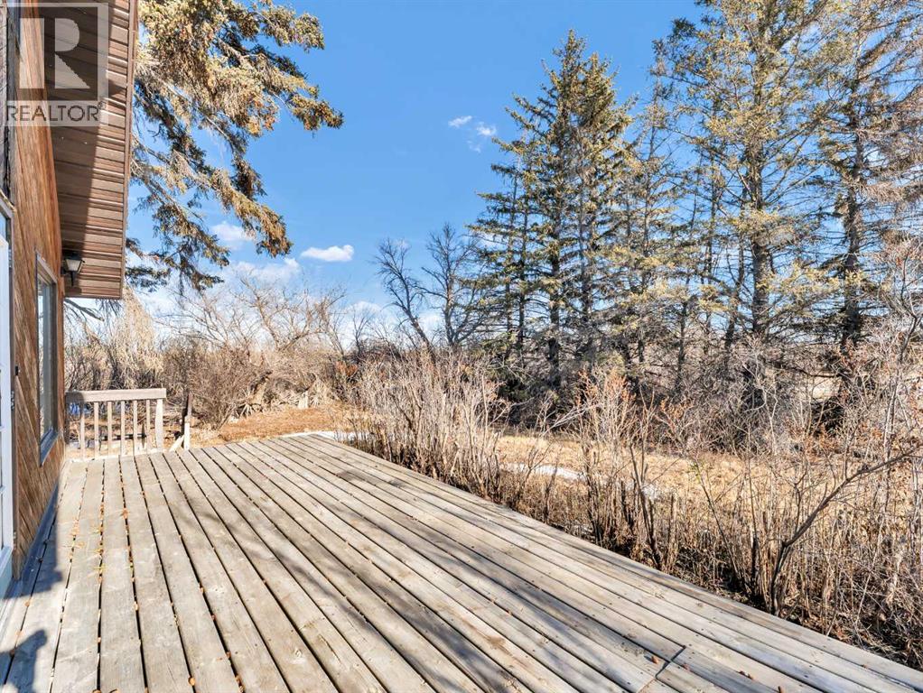 22222 Range Road 20, Bindloss, Alberta  T0J 0H0 - Photo 40 - A2285942