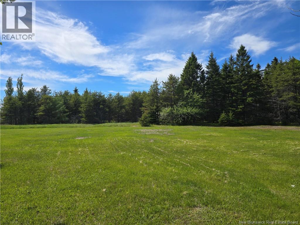 1.7 Acres Route 370, Haut-Sheila, New Brunswick  E1X 1B1 - Photo 5 - NB125508