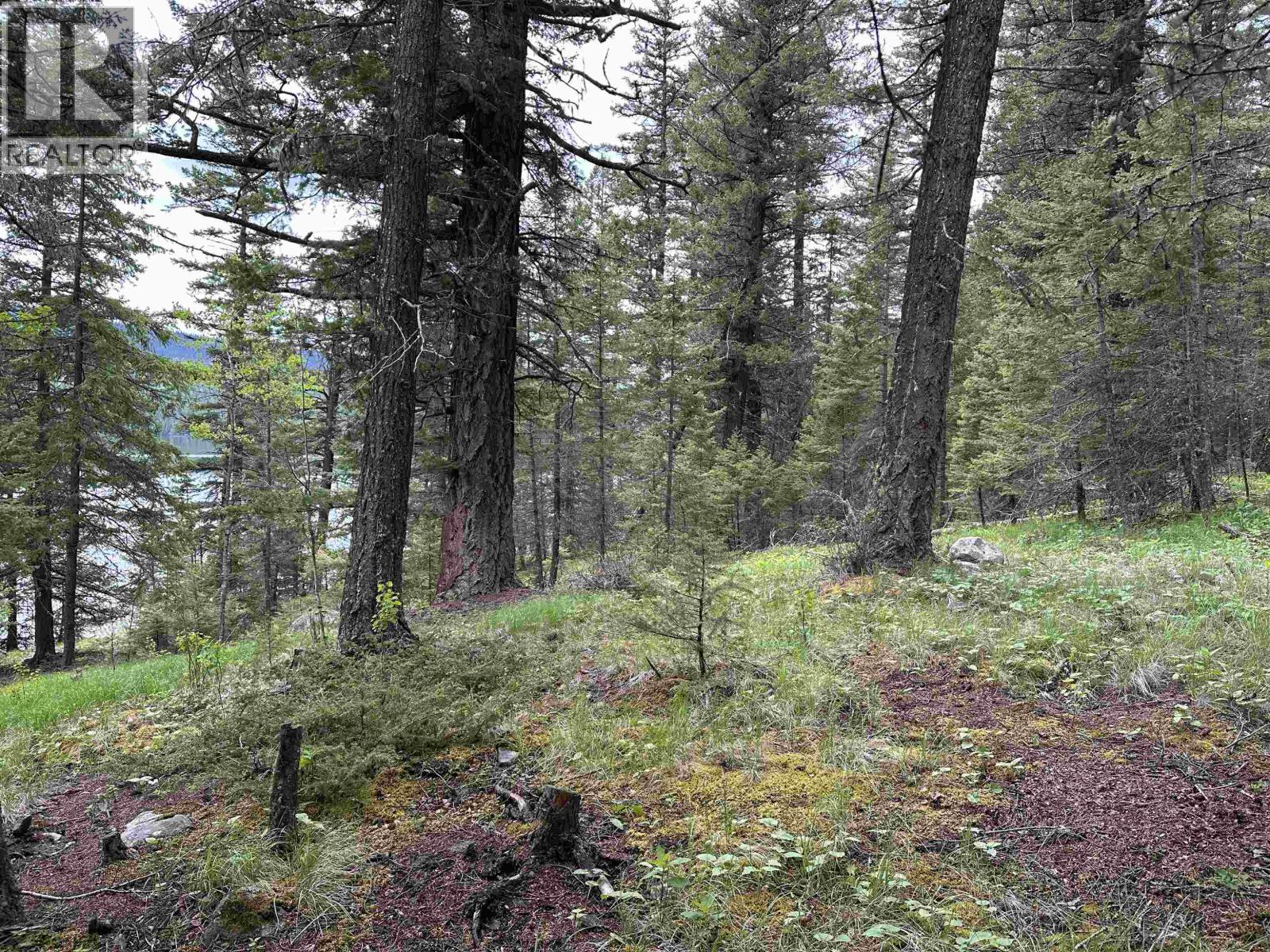 5312 Machete Lake North Road, Bridge Lake, British Columbia  V0K 1E0 - Photo 20 - R3132953