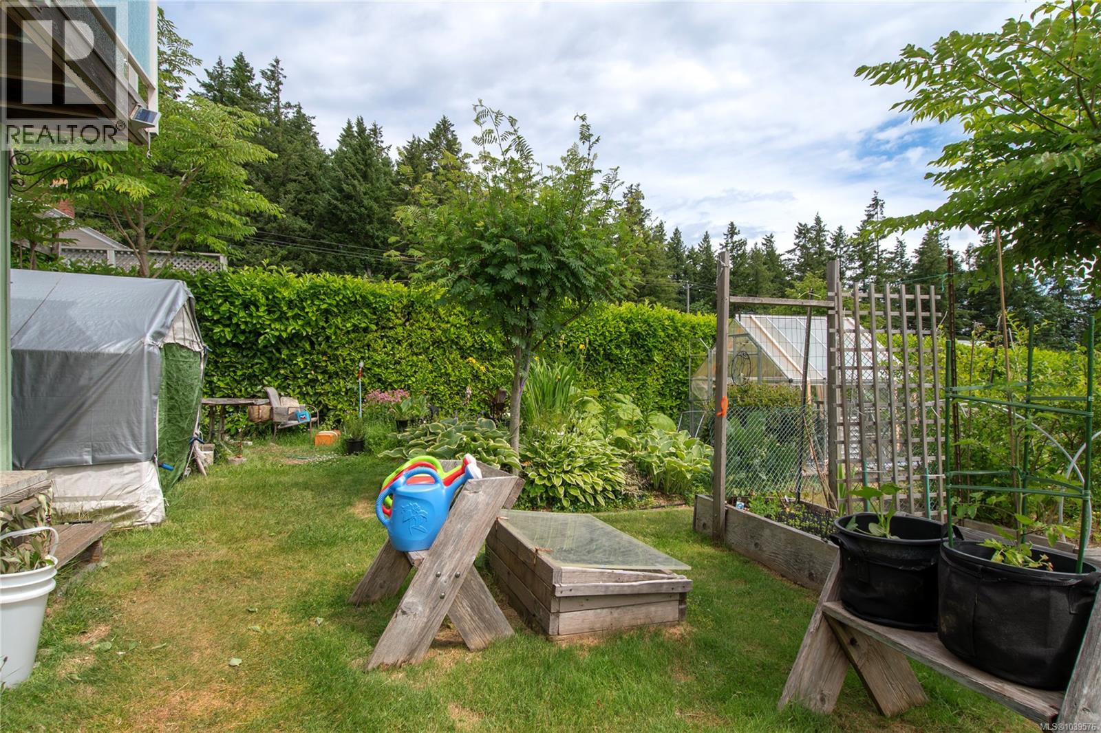 371 Mclean St, Campbell River, British Columbia  V9W 2M7 - Photo 52 - 1039576