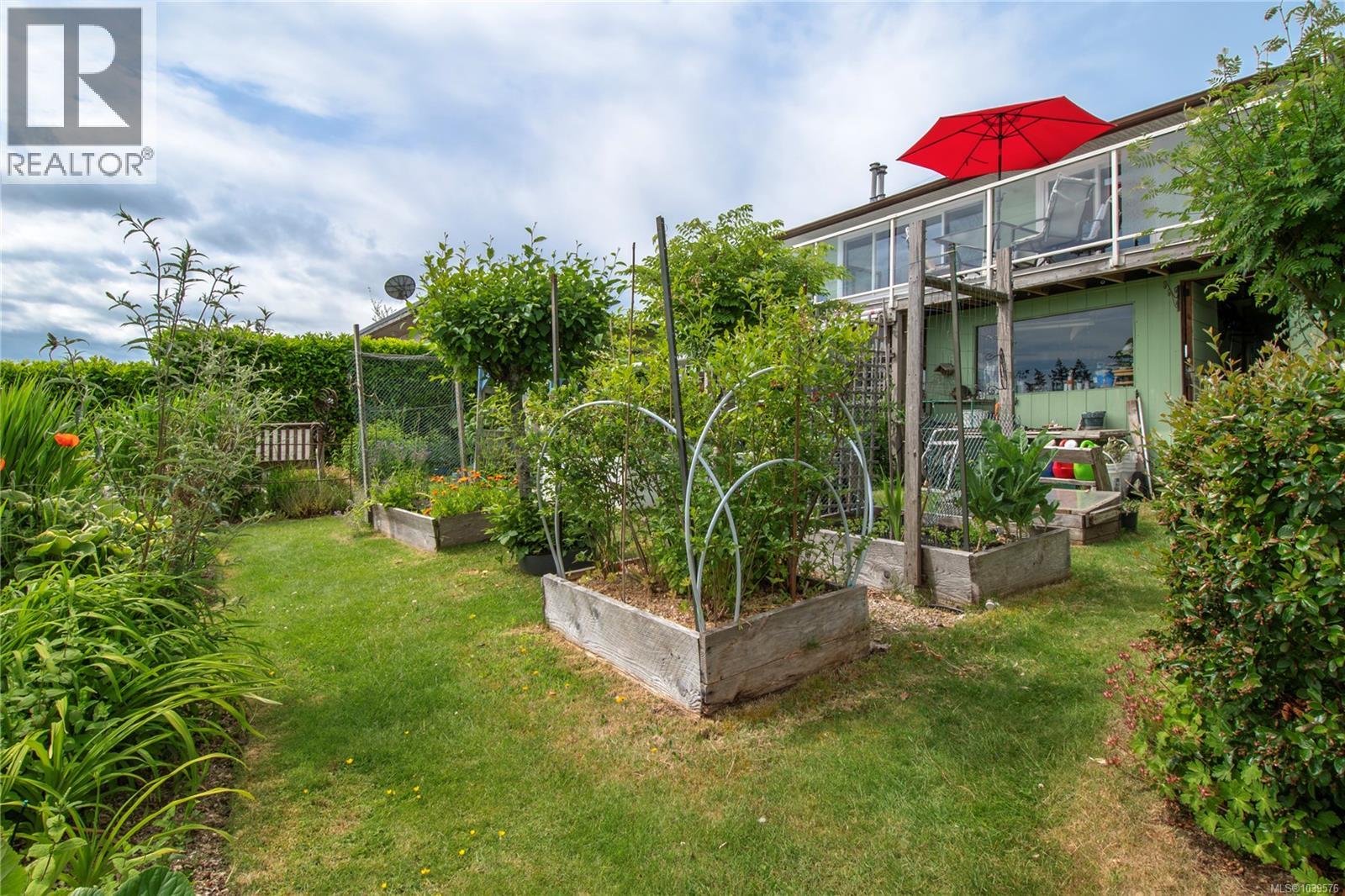 371 Mclean St, Campbell River, British Columbia  V9W 2M7 - Photo 47 - 1039576