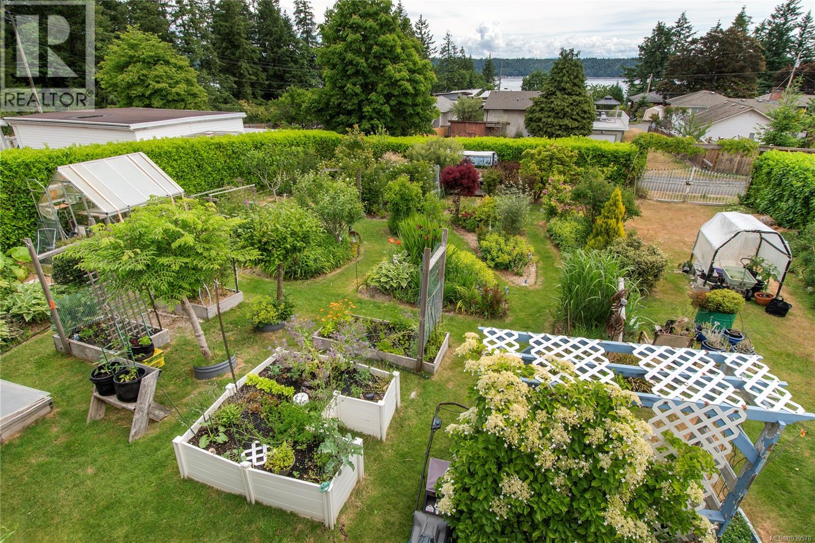 371 Mclean St, Campbell River, British Columbia  V9W 2M7 - Photo 3 - 1039576