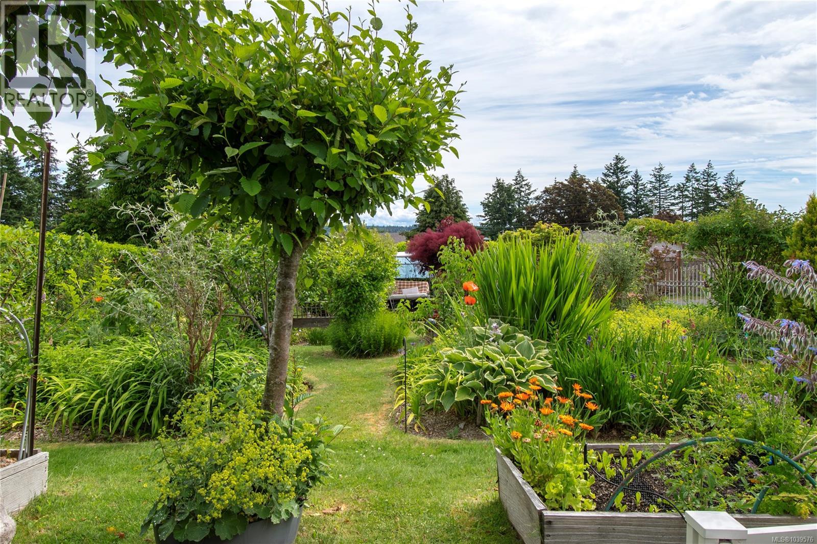 371 Mclean St, Campbell River, British Columbia  V9W 2M7 - Photo 51 - 1039576