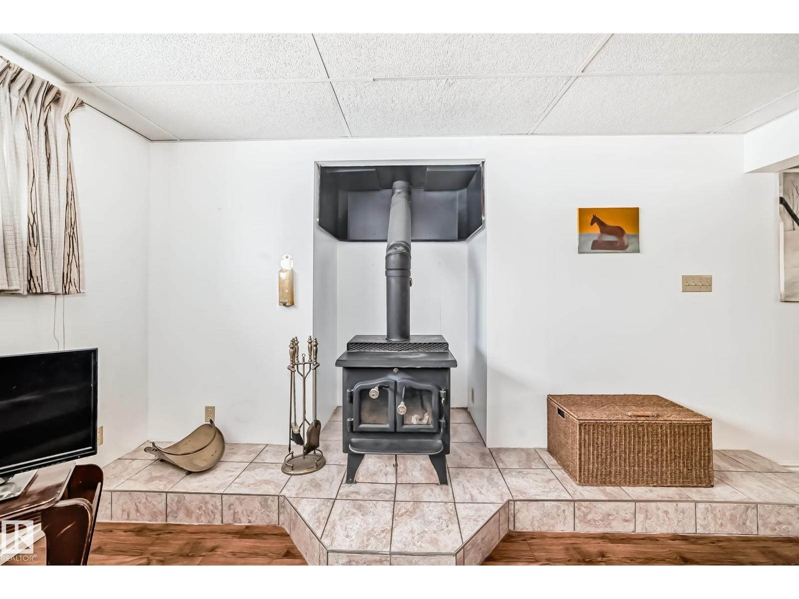 18507 98 Av NW, Edmonton, Alberta  T5T 3E6 - Photo 37 - E4481007