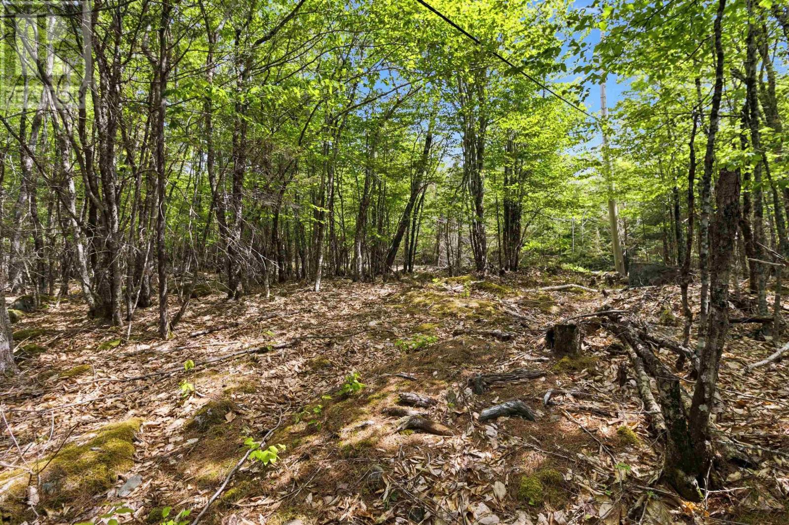 Lot 30 Maplesue Point Drive, Molega, Nova Scotia  B0T 1X0 - Photo 13 - 202613675