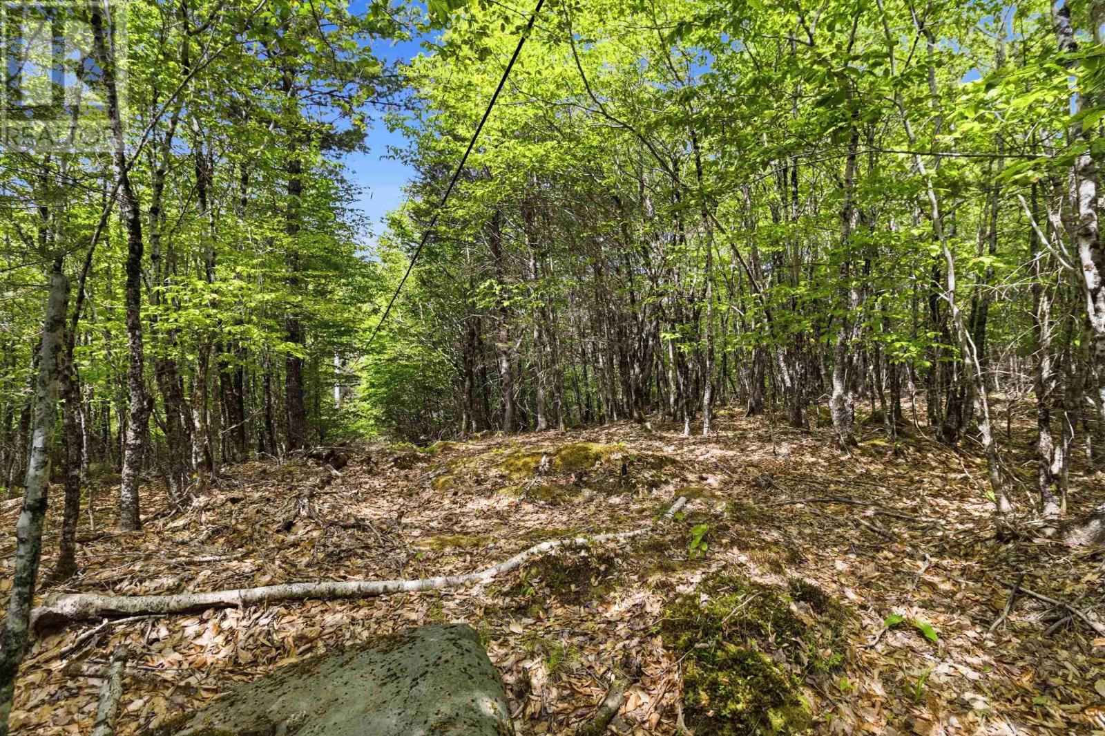 Lot 30 Maplesue Point Drive, Molega, Nova Scotia  B0T 1X0 - Photo 16 - 202613675