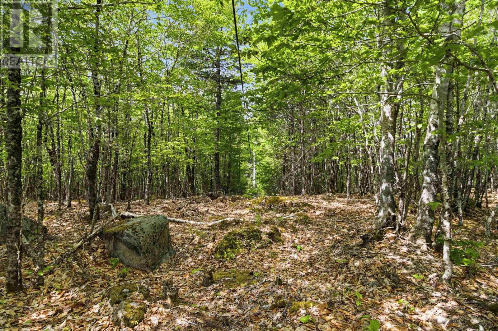 Lot 30 Maplesue Point Drive, Molega, Nova Scotia  B0T 1X0 - Photo 17 - 202613675