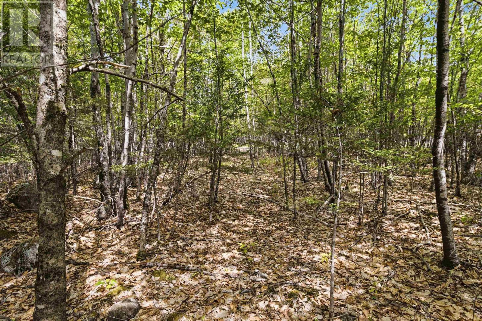 Lot 30 Maplesue Point Drive, Molega, Nova Scotia  B0T 1X0 - Photo 22 - 202613675