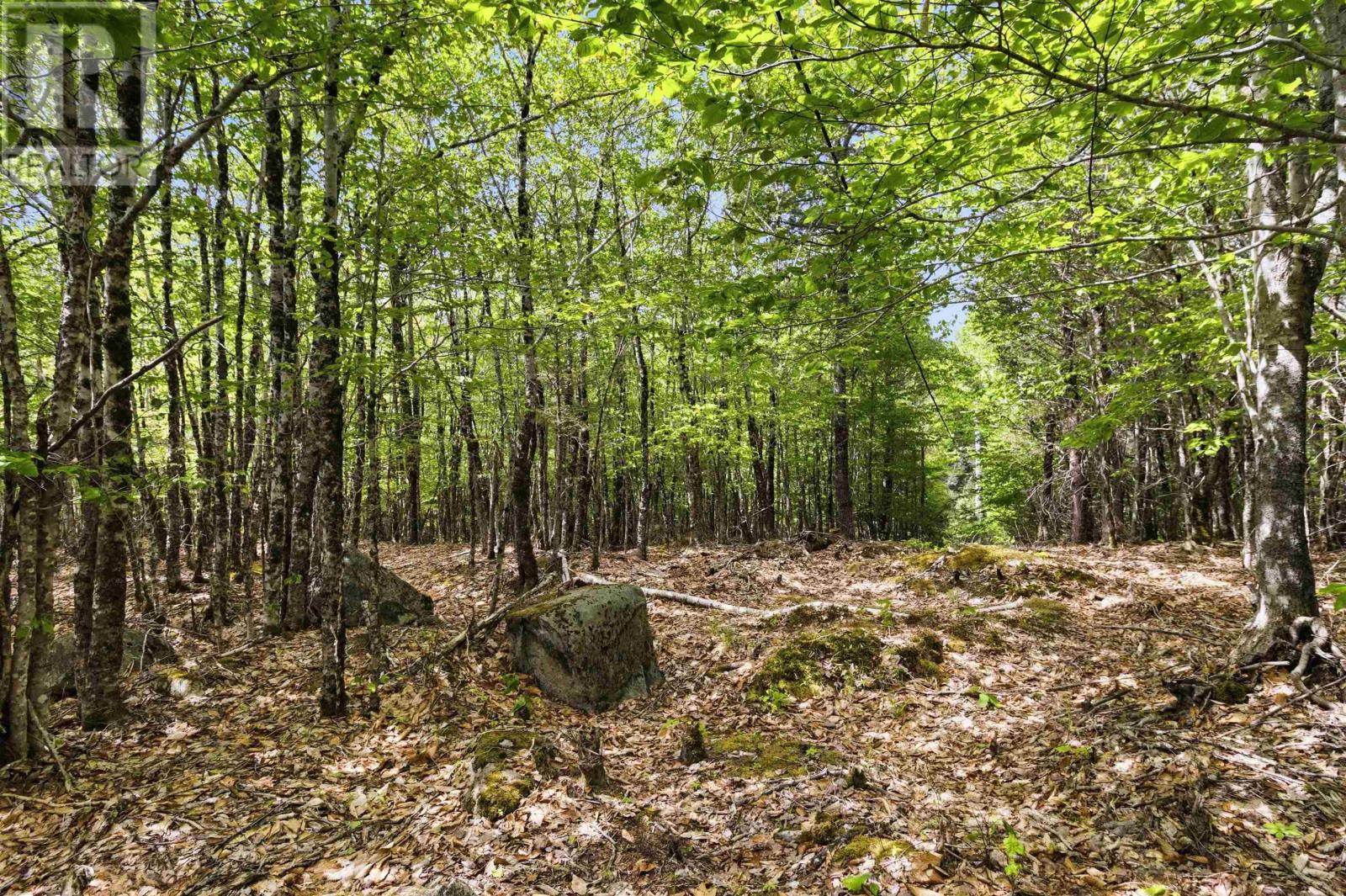 Lot 30 Maplesue Point Drive, Molega, Nova Scotia  B0T 1X0 - Photo 18 - 202613675