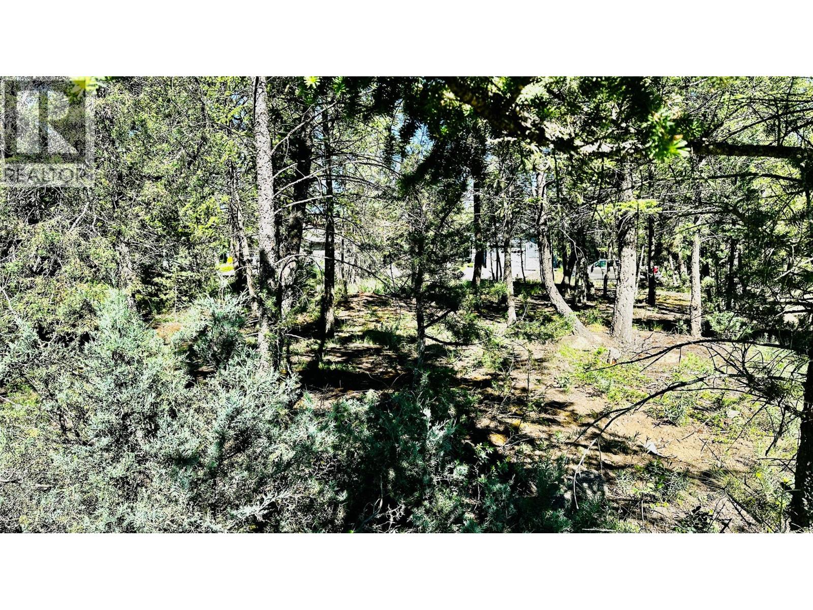 Lot 35 Copper Point Way, Windermere, British Columbia  V0B 1L1 - Photo 10 - 10390238