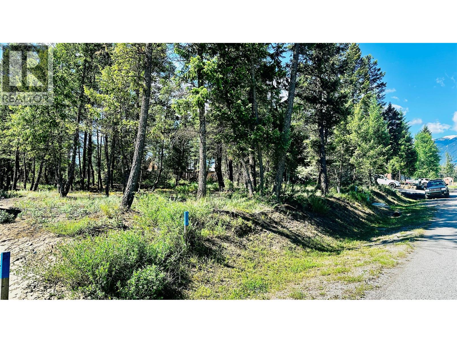 Lot 35 Copper Point Way, Windermere, British Columbia  V0B 1L1 - Photo 5 - 10390238