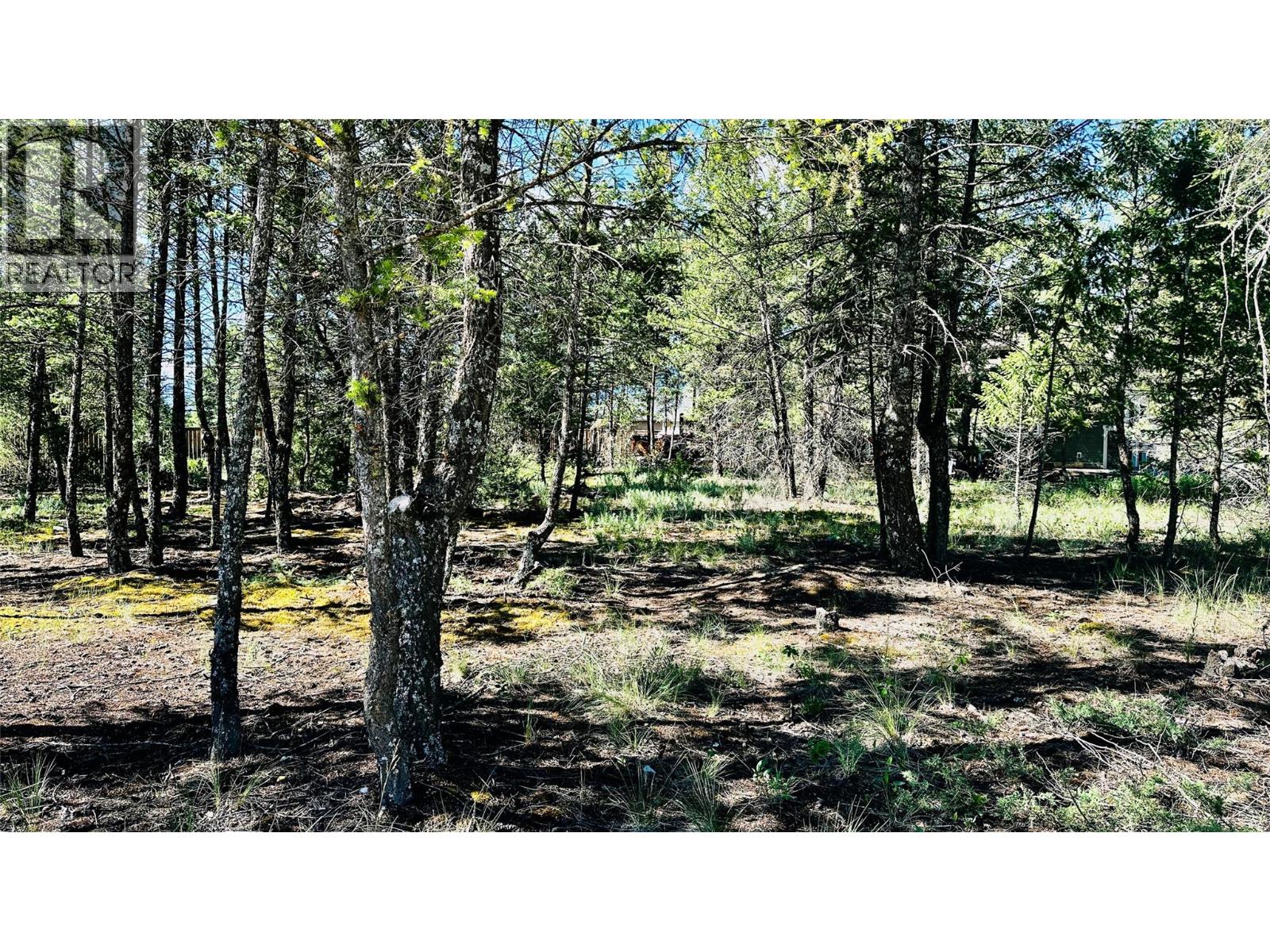 Lot 35 Copper Point Way, Windermere, British Columbia  V0B 1L1 - Photo 6 - 10390238